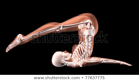 Сток-фото: Female Skeleton In Yoga Position