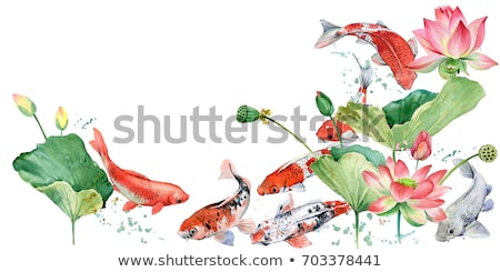 Stock photo: Koi Fishes Japanese Style