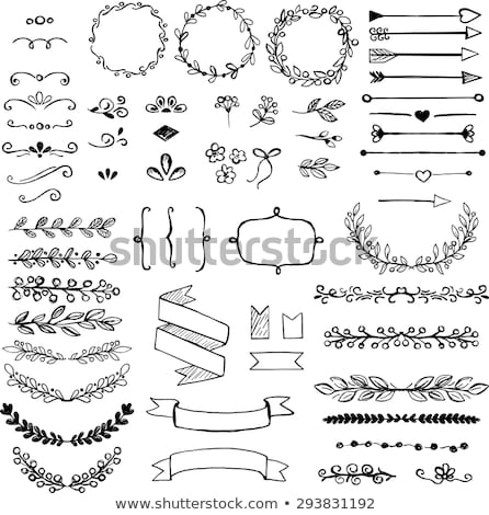 Stock foto: Hand Drawn Floral Elements Set Of Flowers