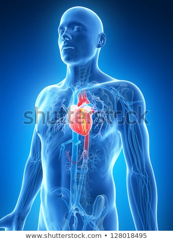 Сток-фото: 3d Rendered Illustration - Male Heart