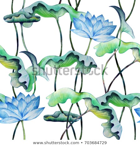 Stok fotoğraf: Blue Water Lily