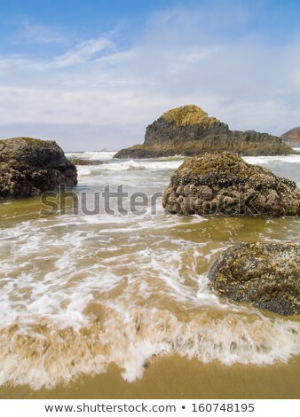 Zdjęcia stock: High Tide Coming In On The Oregon Coast