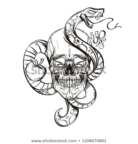 Snake Tattoo Designs  GraphicRiver