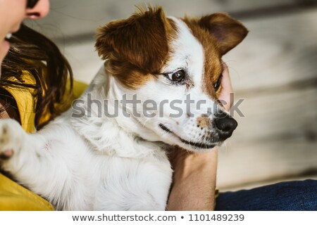 Foto stock: Happy Woman Seated On Wooden Floor