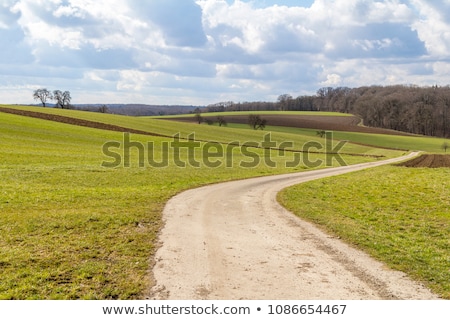 Zdjęcia stock: Idyllic Agriculture Scenery At Early Spring Time