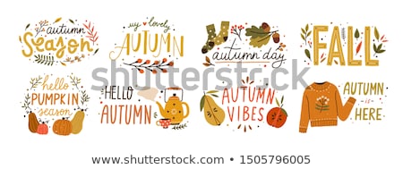 Foto stock: Autumn Season Elements And Inscription Hello Autumn