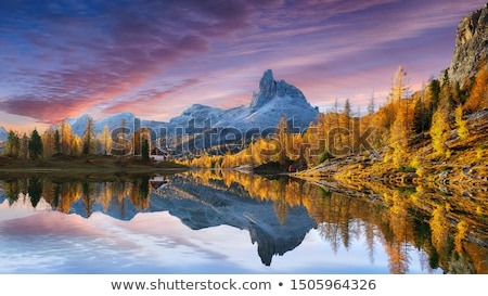 Stok fotoğraf: Rocky Autumn Stream