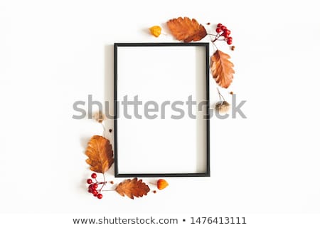 [[stock_photo]]: Autumn Frame