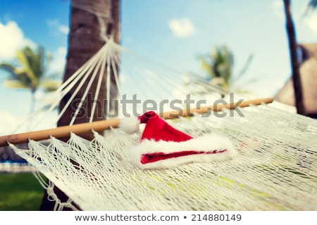 Foto d'archivio: Picture Of Hammock With Santa Helper Hat