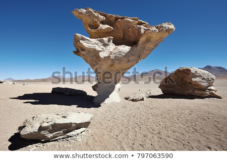 Stok fotoğraf: Arbol De Piedra Stone Tree Is An Isolated Rock Formation In Bo