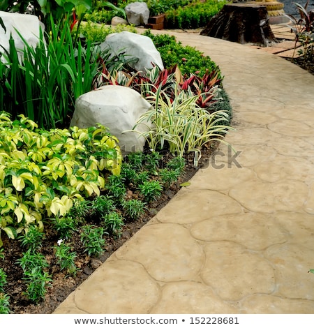Foto stock: Old Planter On Stone Wall