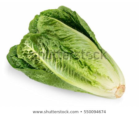 Stok fotoğraf: Heads Of Fresh Romaine Lettuce