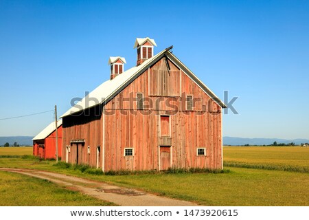 [[stock_photo]]: Old Wooden Horse