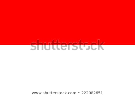 Foto stock: Indonesia Flag Vector Illustration