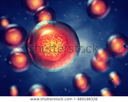 Stock fotó: Mberi · sejtek · transzplantációhoz