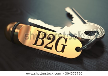 Stock photo: B2g Concept Keys With Golden Keyring