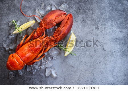 Foto d'archivio: Lobster