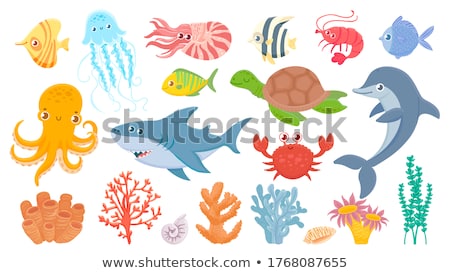 Foto stock: Sea Creatures Set