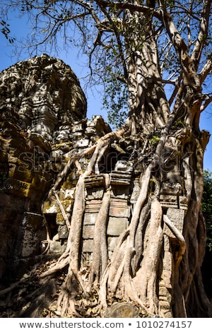 [[stock_photo]]: Angkorcambodia