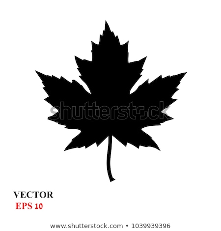 [[stock_photo]]: Autumn Maple Leaves