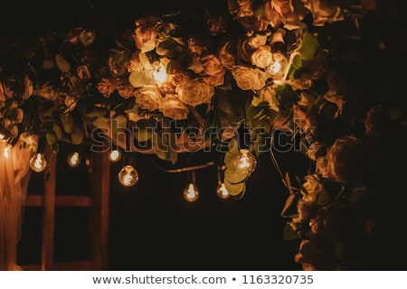 Stok fotoğraf: Closeup Of Flowers In A Garden Setting