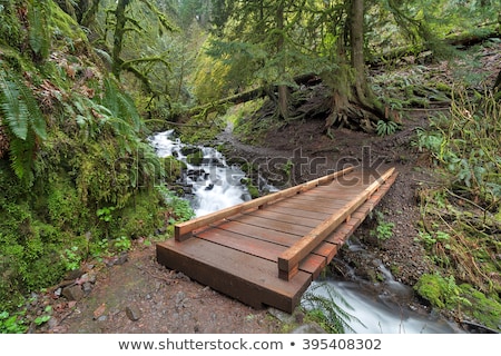 Foto stock: Wood Bridge Over Wahkeena Creek