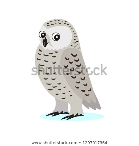 Foto stock: Icon Of Cute White Polar Owl With Big Eyes Forest Animal