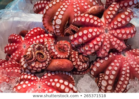 Stok fotoğraf: Close Up Of Octopus At Fish Market