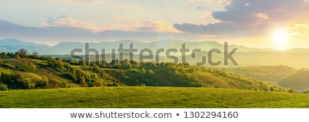 [[stock_photo]]: Oucher · de · soleil · panoramique · de · la · saison · printanière