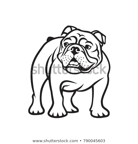 Сток-фото: Bulldog Mascot Body Vector Illustration