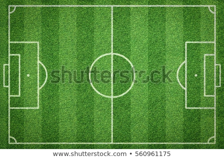 [[stock_photo]]: Artificial Turf At Soccer Field