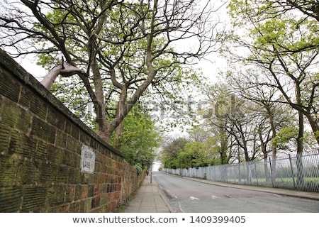 Сток-фото: Penny Lane In Liverpool