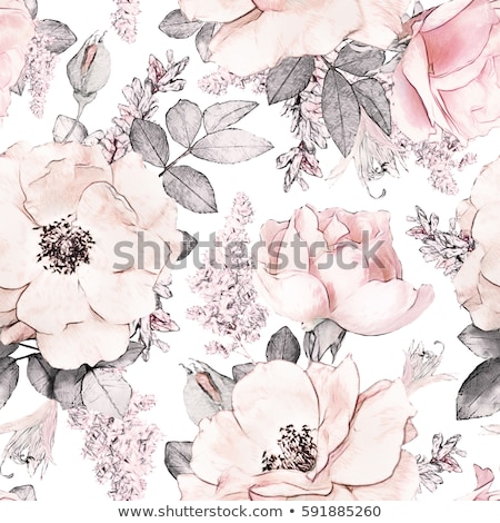 Stok fotoğraf: Seamless Pattern With Pink Roses And Flowers