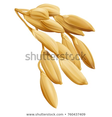 Stockfoto: Paddy Or Rice Grain Oryza On Brown Background