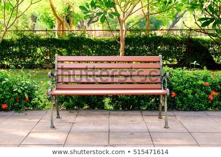 Foto stock: Park Benches In The Park In Autumn