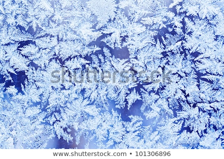 Beautiful Frosty Natural Pattern On Window Glass Zdjęcia stock © Sailorr