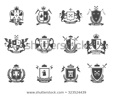 Zdjęcia stock: Coat Of Arms Shield With Swords Illustration