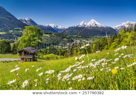 Stockfoto: Alpine Mountain Village