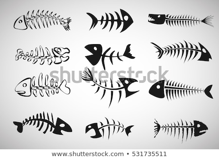 Stock photo: Vector Set Of Fishbone