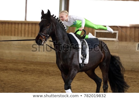 Сток-фото: Vaulting Horse