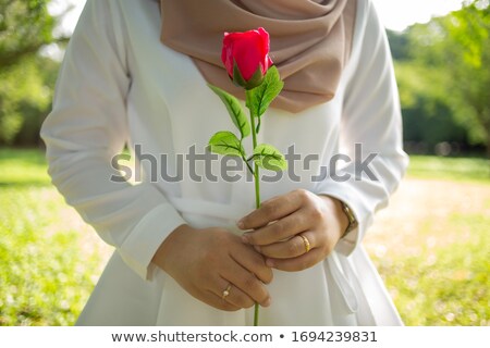 Foto stock: Close Up Of Hands Holding Rose