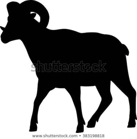 Stock fotó: Big Horn Sheep Silhouette In Standing Pose