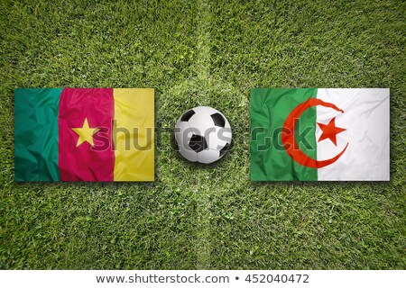 Algeria Vs Cameroon Flags On Soccer Field Stok fotoğraf © kb-photodesign