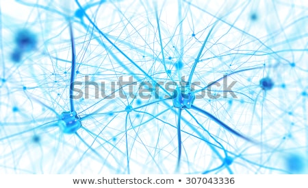 Foto stock: 3d Rendered Illustration Of A Neuronal Cell