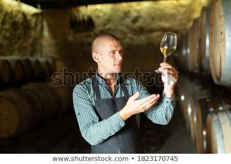 Stock photo: Vintner In Cellar Analyzing White Wine