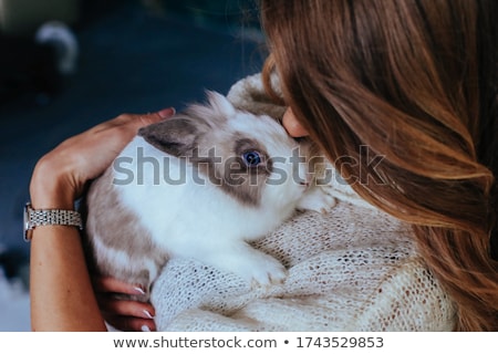 ストックフォト: Girl Holds A White Small Rabbit