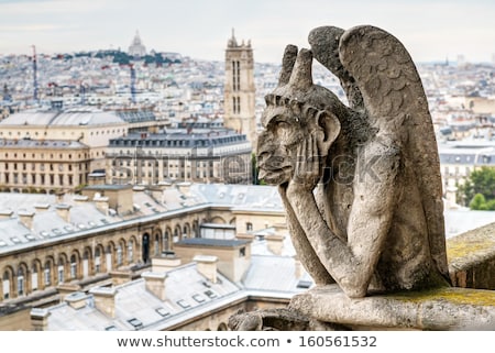 Foto stock: Architectural Details Of Cathedral Notre Dame De Paris