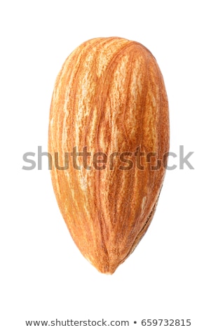 Stock fotó: Single Almond Photo Closeup Isolated On White Background