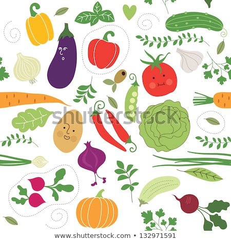 Stock fotó: Marrow Vegetarian Food Meal Vector Illustration