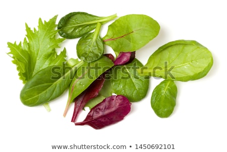 Foto stock: Romaine Lettuce And Spinach Salad